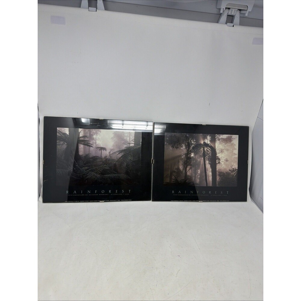 VTG Athena 1991 Rainforest In The Mist III IV Suzanne Gregory Framed Prints Pair